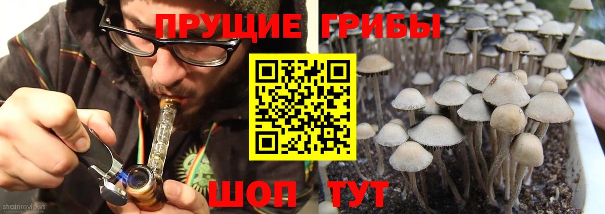 Златоуст  Галлюциногенные грибы мицелий  Псилоцибиновые грибы Psilocybine cubensis  Вход с VPN 